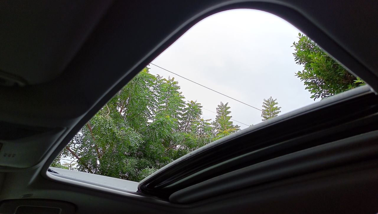 2024 Toyota RAV4 2.5 Adventure At