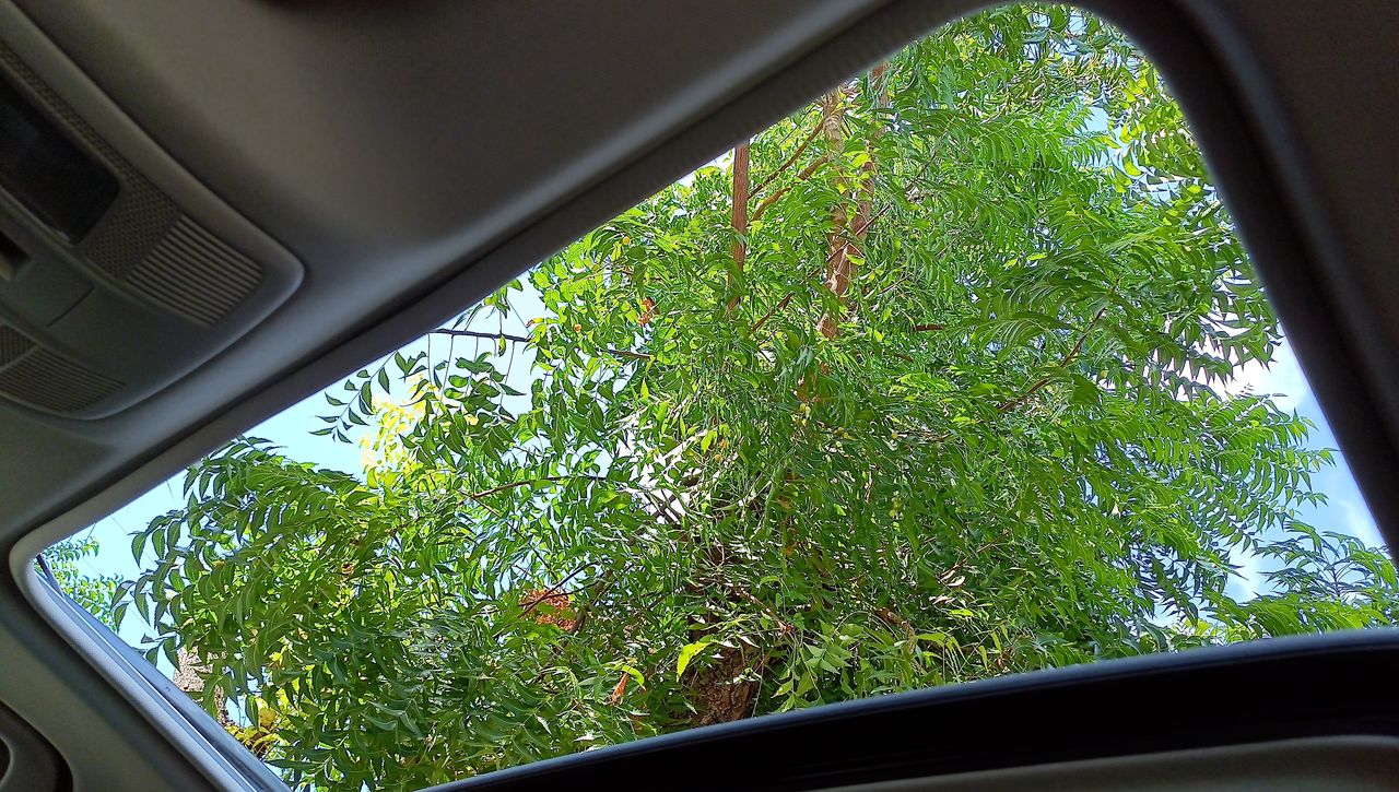 2023 Mazda Mazda CX-5 2.5 s Grand Touring At