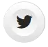 Twitter Icon image